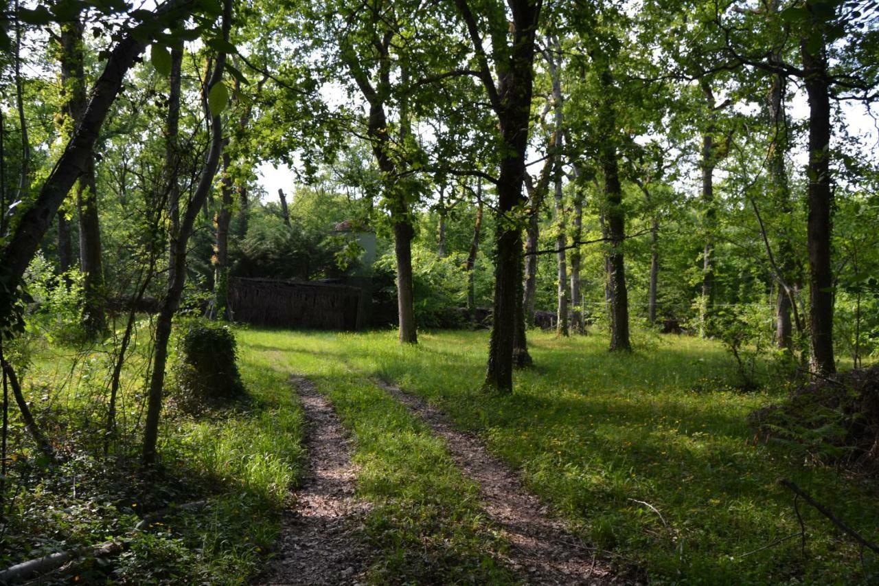 فيلا Sainte-Foy-la-Longueفي Ferme De Mouline المظهر الخارجي الصورة